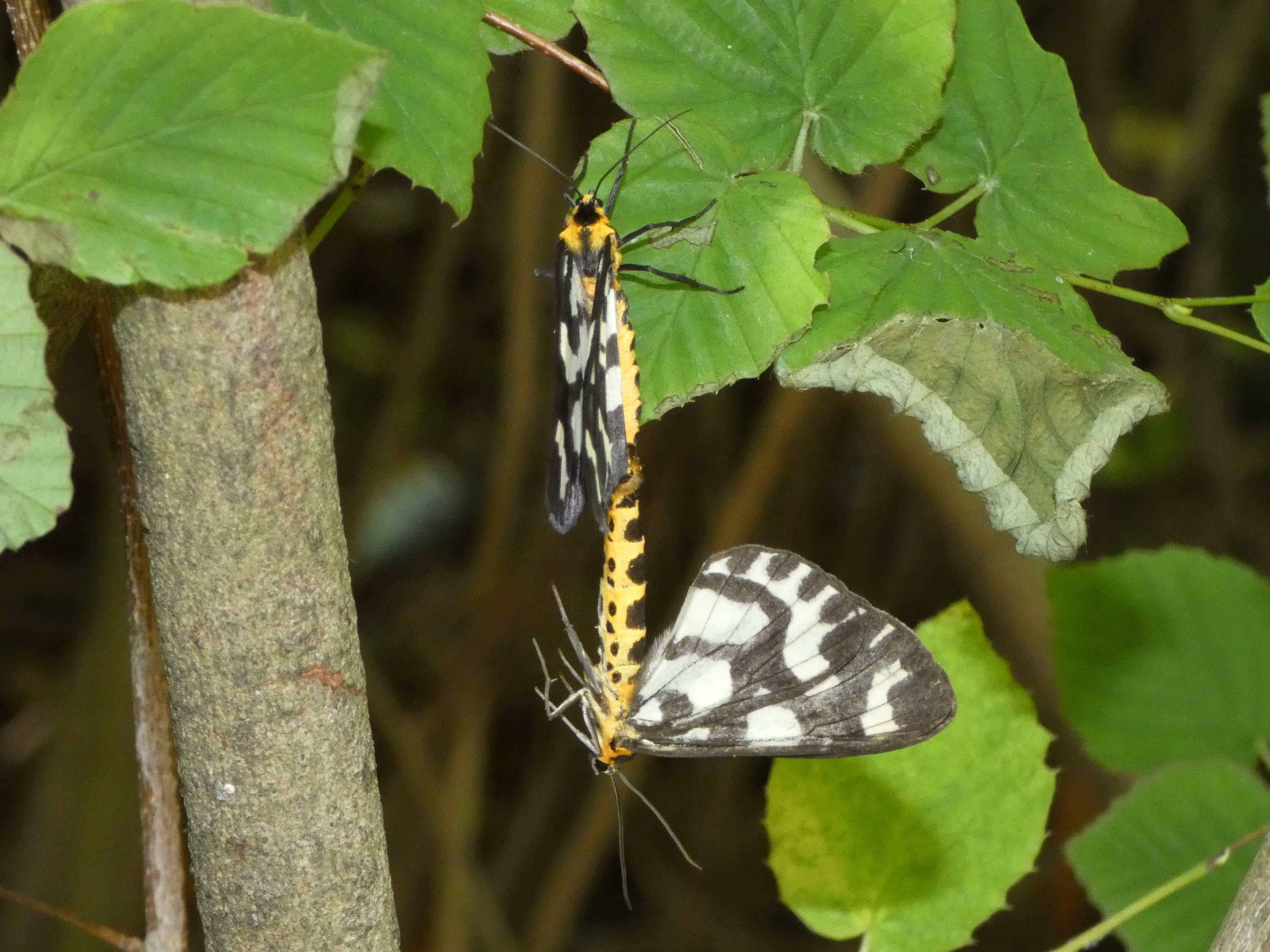 photo_6